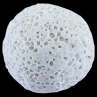 IR超微孔培菌球
