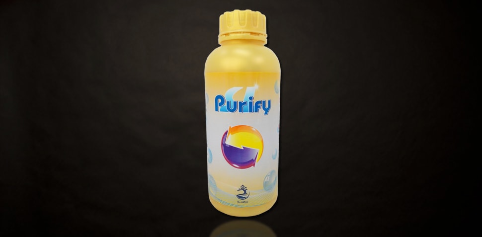 Purify Nitrifying Bacteria