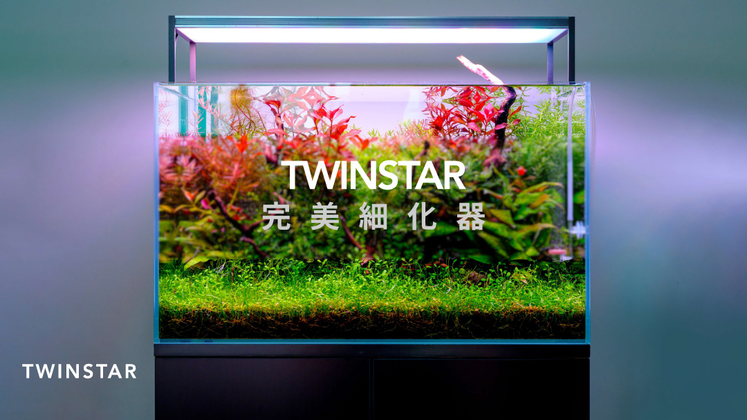 韓國TWINSTAR 完美細化器