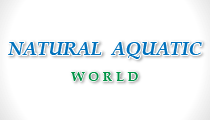Natural Aquatic World